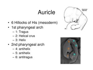 Ashley Balaker, M.D.